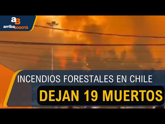 Tragedia en Chile: Incendios forestales dejan 19 muertos y miles de evacuados