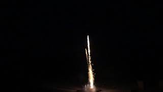 Dog Race Firework 2018