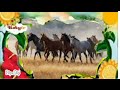 Baby Tv The Amazing World Horse