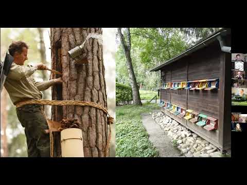 André Wermelinger : Diversifizierte Bienenhaltung am Beispiel der FreeTheBees Imkermethodik