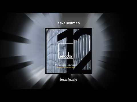 Dave Seaman  'Buzzfuzzle' [SELADOR]