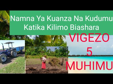 , title : 'Siri 5 Za Kilimo Biashara/ Jifunze Kutoka AJE-FARMS'