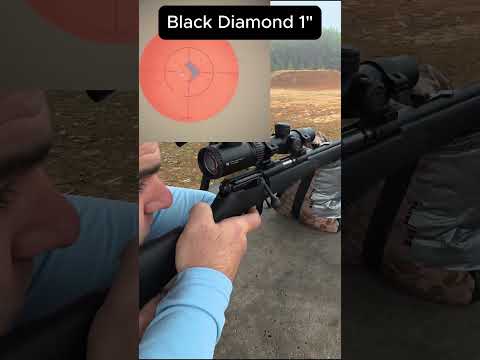 Savage .22 WMR vs Black Diamond Target #accuracy #hunting #deer