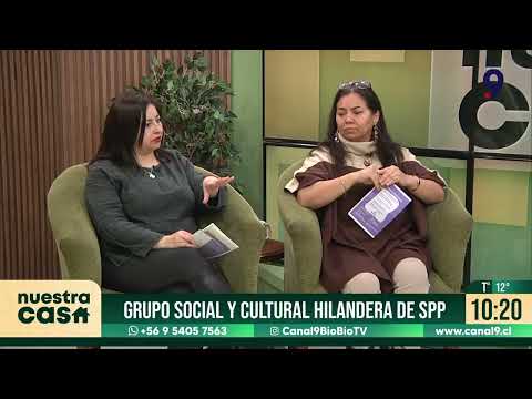 Proyecto de salud mental llegará a Penco con talleres gratuitos para apoyar a familias tras incendio
