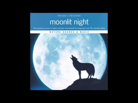 Nature's Creation Collection: Moonlit Night - Tony Braasch