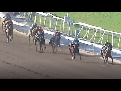 Citizen Bull Wins the American Pharoah Stakes (G1) - 2025 Derby Prep - Santa Anita - 10/5/24