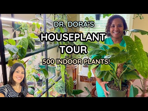 Dr. Dora's Houseplant Home Tour | 500 Indoor Plants | Entire Indoor Plant Collection
