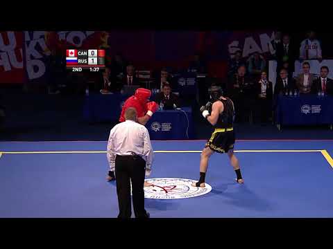 Wushu   Men's Sanda  80kg Finals