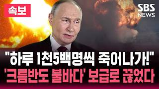 유튜브 썸네일