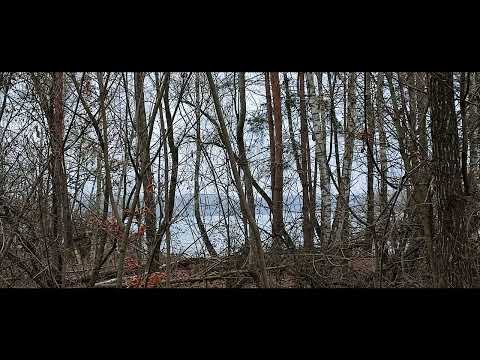 Botschaft von Erda, der edlen und sanften Dienerin von Walhall