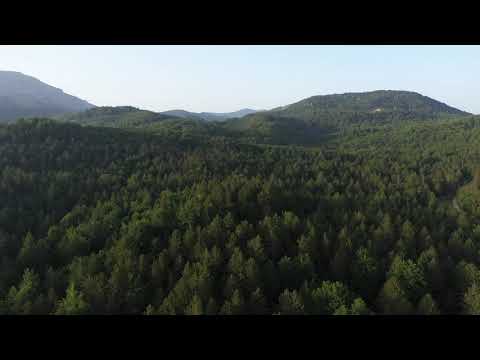 Studeno avgust 2021.