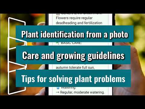 Garden Assistant video thumbnail