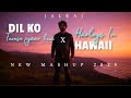 Harleys In Hawaii X Dilko Tumse Pyar Hua JalRaj New Mashups 2025