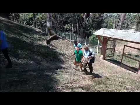 Domingo de ramos en aldea de HONDURAS, capapán catacamas 