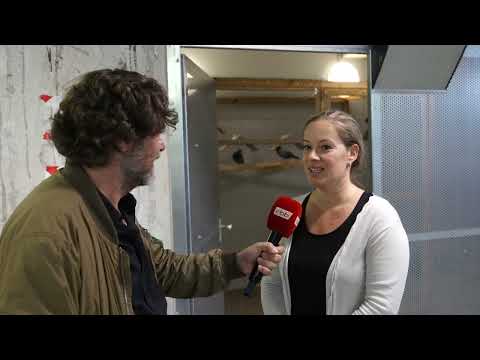 Falken gegen Tauben im Fahrradparkhaus