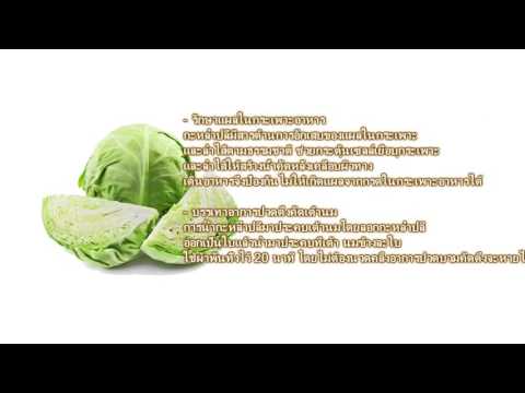 ธรรมชาติเพิ่มเต้านม วัยรุ่นชุดว่ายน้ำบนหน้าอกขนาดเล็ก