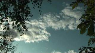 Lille Guds barn hvad skader dig