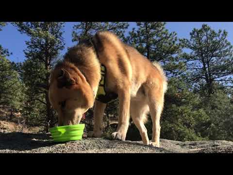 South Boulder Creek via Walker Ranch Trail Happy Halloween 2020