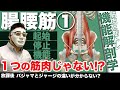 『腸腰筋1!三つの筋肉で腸腰筋?』CHICKEN HEART TV vol.159座学