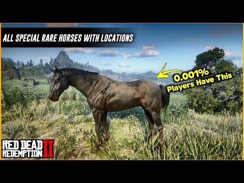 All Rare Horse Locations | Red dead redemption 2 |