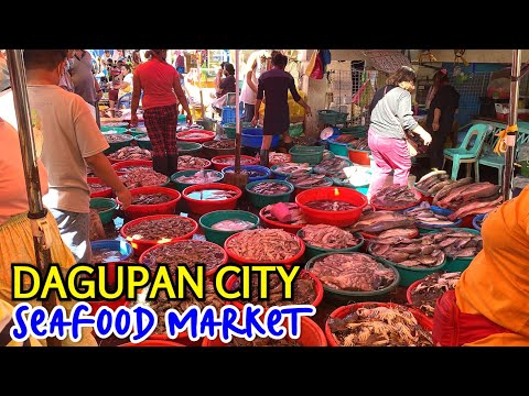 Amazing SEAFOOD MARKET SCENE of DAGUPAN PANGASINAN | Visiting Dagupan Fish Market Before New Year!