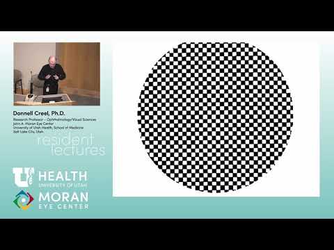 Visually Evoked Potentials