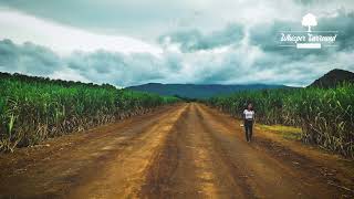 Case/Lang/Veirs - Atomic Number