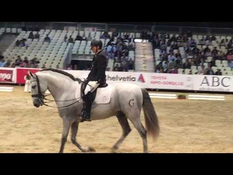 G-Augusto final SIcab 2017 funcionalidad