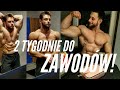 2 TYGODNIE DO ZAWODÓW