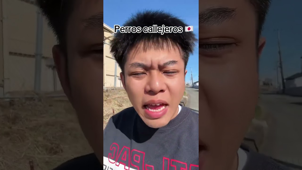 #japón #parati #humor