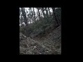 Multiple Skinwalkers Screaming At Each Other In The Gila National Forrest Skinwalker Scream