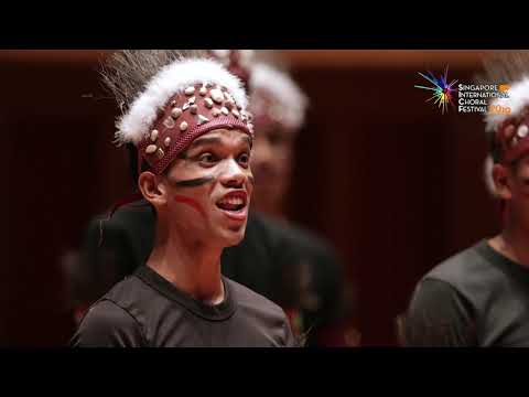 SICF 2019 Festival Highlights Video (Extended)