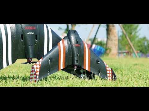 SonicModell - Mini AR Wing: Size comparison with AR Wing 900