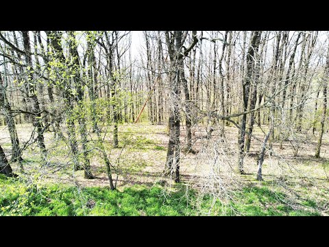 FALC - Immobilien YouTube-Vdeominiatur 3