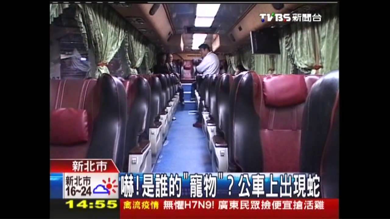 嚇！是誰的「寵物」？　公車上出現蛇