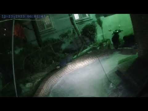 Jeonpo dong escrito Haeundae Ida e Volta -Busan-Coreia do Sul 15/11/202 NORM0001