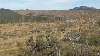 A good look at Buffalo Creek riding.