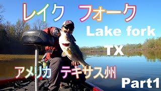 アメリカ　バス釣り　in Lake Fork 　レイクフォーク