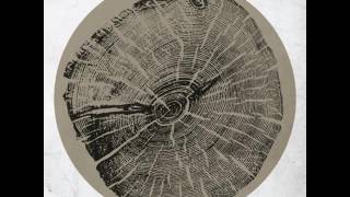 Roy Montgomery - And Later We Looked Up At The Stars