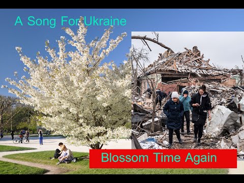 Blossom Time again - A song for Ukraine - Demo edit from Facebook Post that got 500+  plays