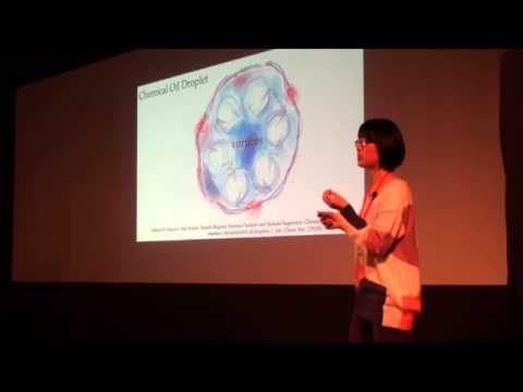 Fluctuation and self-organization - it is the small things that matter: Mizuki Oka at TEDxTsukuba Video