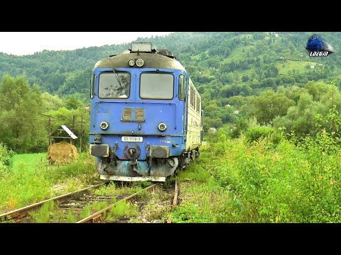 Fluieroasa 60-1356-9 Whislte Loko & R4652 Sighetu Marmației-Valea Vișeului in Valea Vișeului