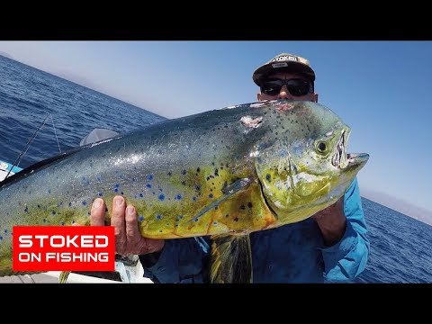 download lagu mp3 mp4 La Paz Mexico Fishing, download lagu La Paz Mexico Fishing gratis, unduh video klip La Paz Mexico Fishing