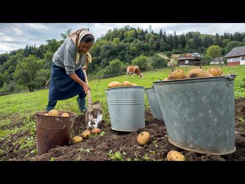 Elderly Couple’s Peaceful Mountain Life & Homemade Food