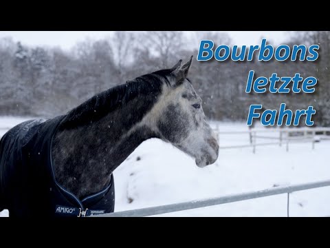 Bourbons letzte Fahrt - Abschlusstraining für seine Besitzerin bevor er in sein neues zu Hause kommt