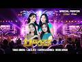 MANTAB SPCIAL TIARA AMORA LAILA AYU KDI CANTIKA DAVINCA INTAN AFIFAH D GAZZ MUSIC GAZ POL