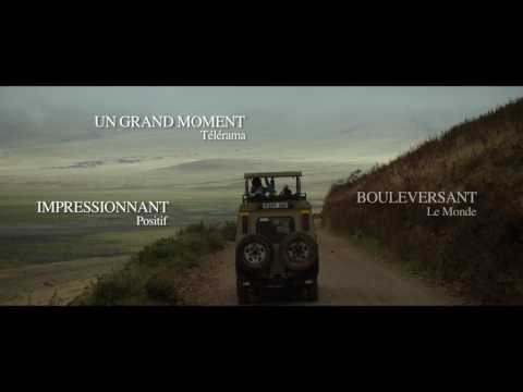 Bande Annonce de GABRIEL ET LA MONTAGNE de Fellipe Barbosa