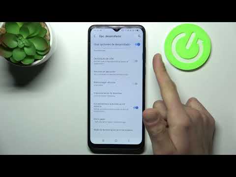 Modo Desarrollador en TCL 306 - opciones de desarrollador