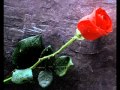 Baharoon Ne Khushi Kay Phool Bersay