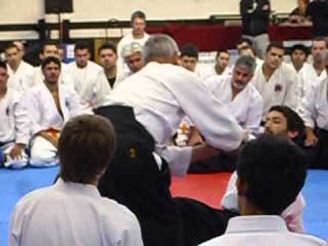 argentina2012 Inagaki sensei mas